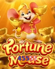 45555 slots online fortune mouse